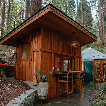 Magical Yurt In The Woods - 2 Miles From Town Nevada City Exterior foto